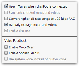 iPod nano options in iTunes