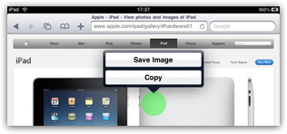 Save a image / picture to your iPad Photos library