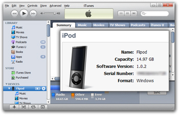 iPod nano Serial # and model visible in iTunes