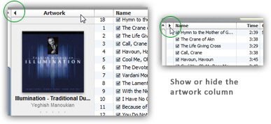 Album artwork column in iTunes 9