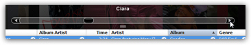 Columns visible at the bottom in iTunes' Cover Flow view