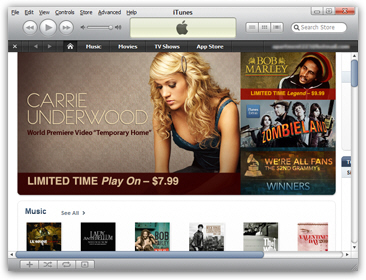The iTunes Store