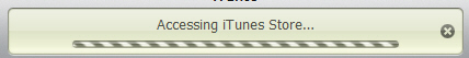 Progress bar: iTunes checks the store for new downloads